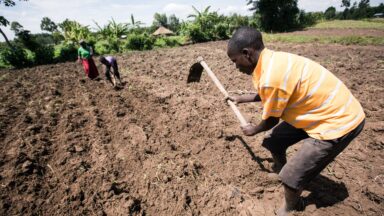 Climate Change effect on Africa’s Agriculture